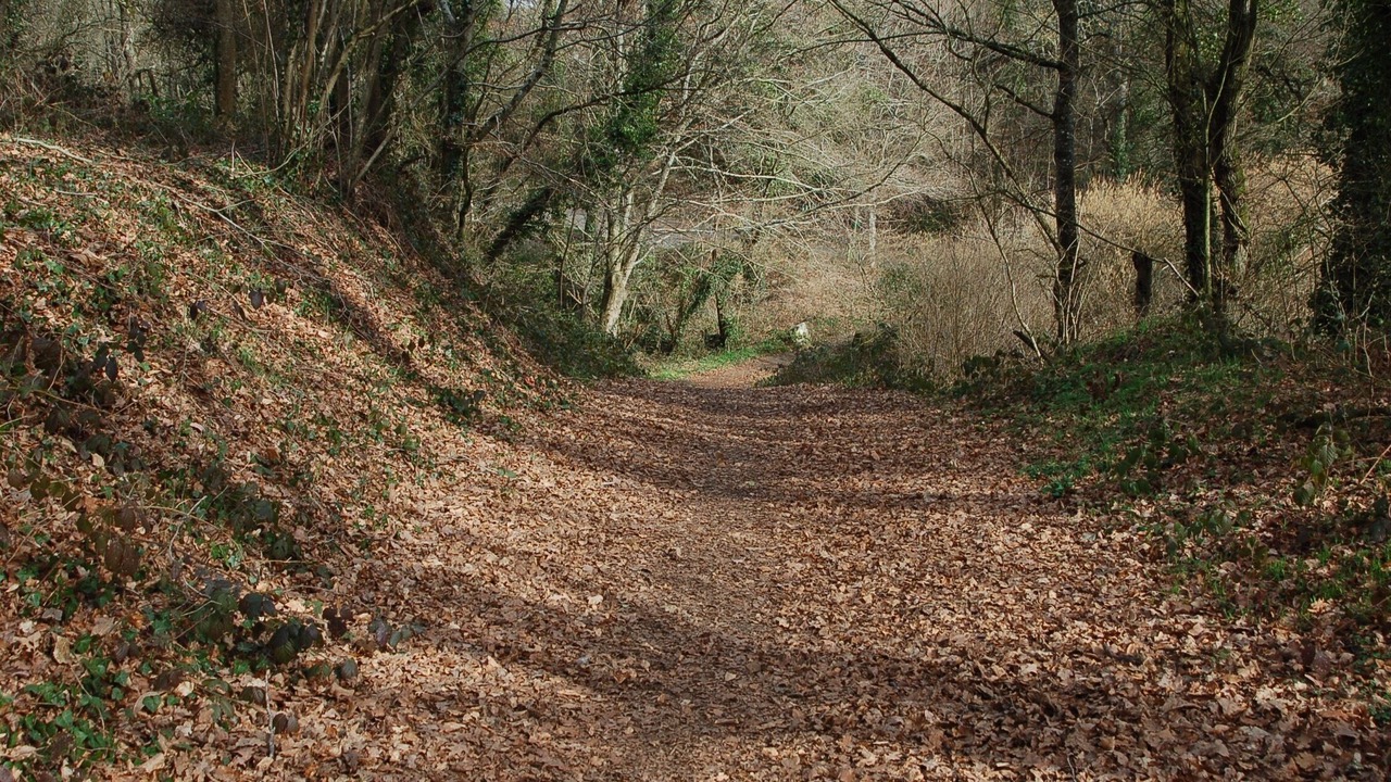 Photo of Outdoor in La Meaugon