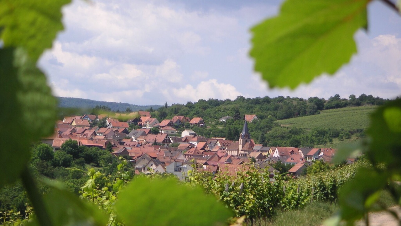 Photo of Outdoor in Rosenwiller