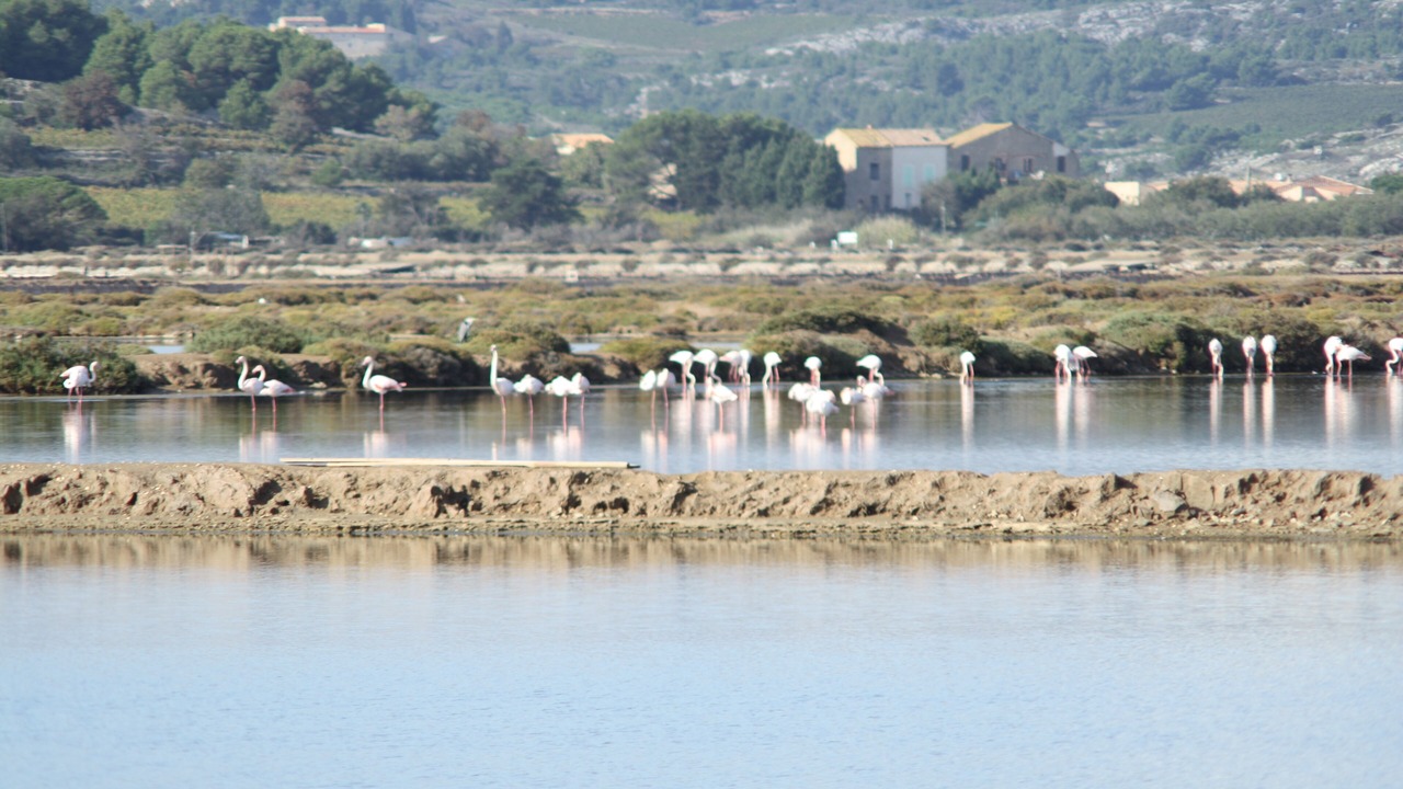 Photo of Others in Gruissan