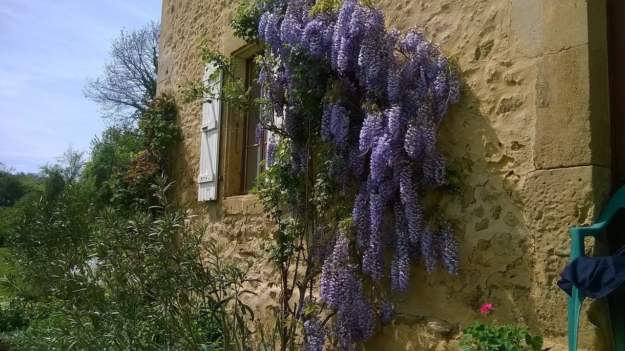 Photo of Outdoor in Beaumarches