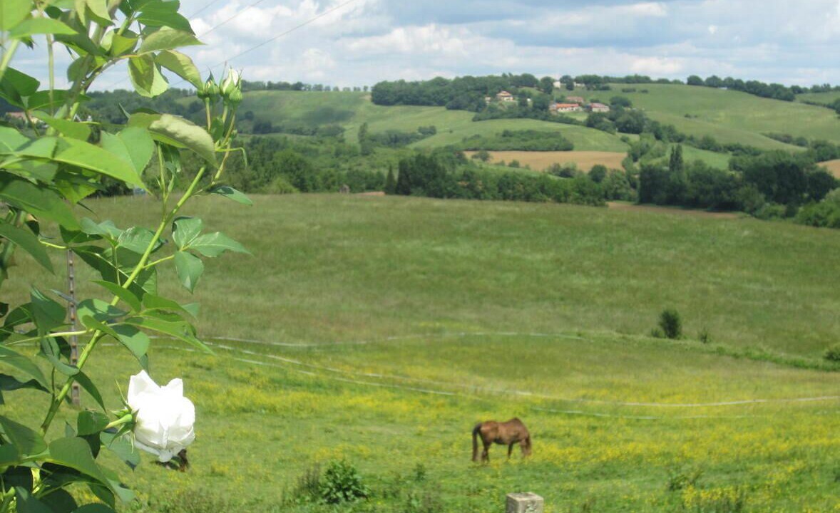 Photo of Outdoor in Beaumarches