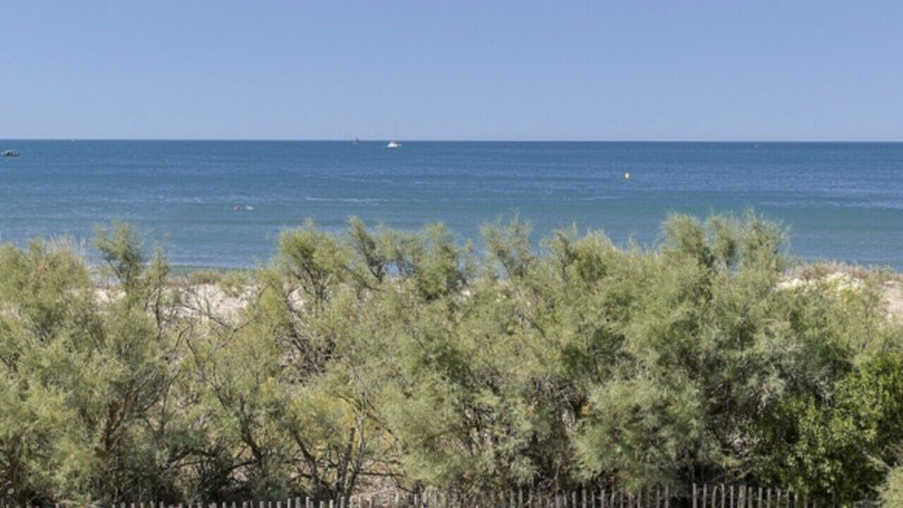Photo of Others in La Grande-Motte