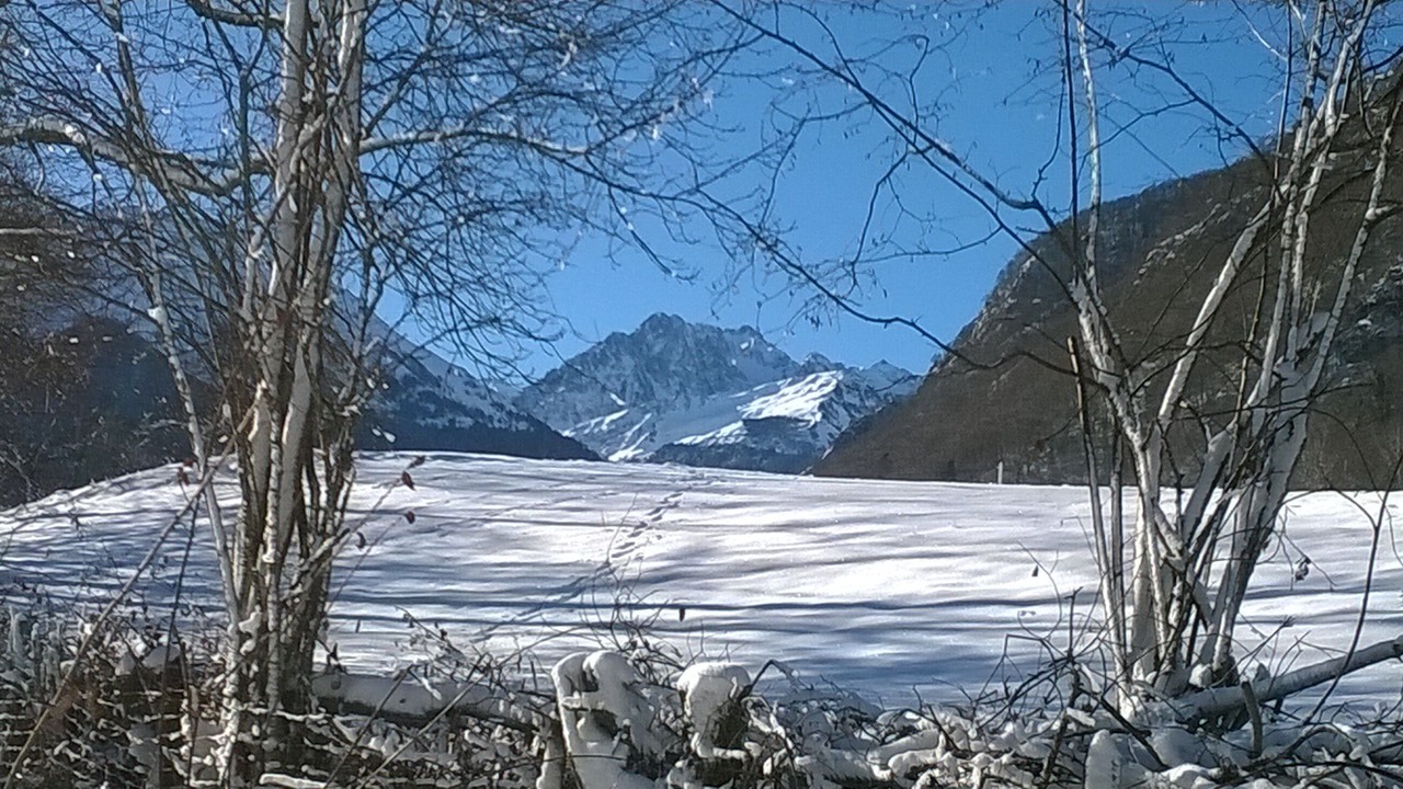 Photo of Others in Campan