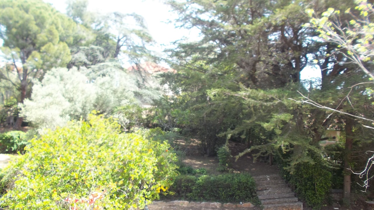 Photo of Outdoor in Bandol