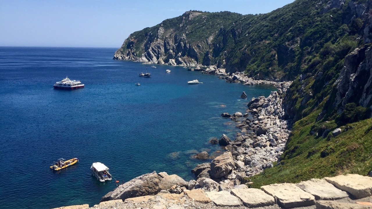 Photo of Others in Porquerolles