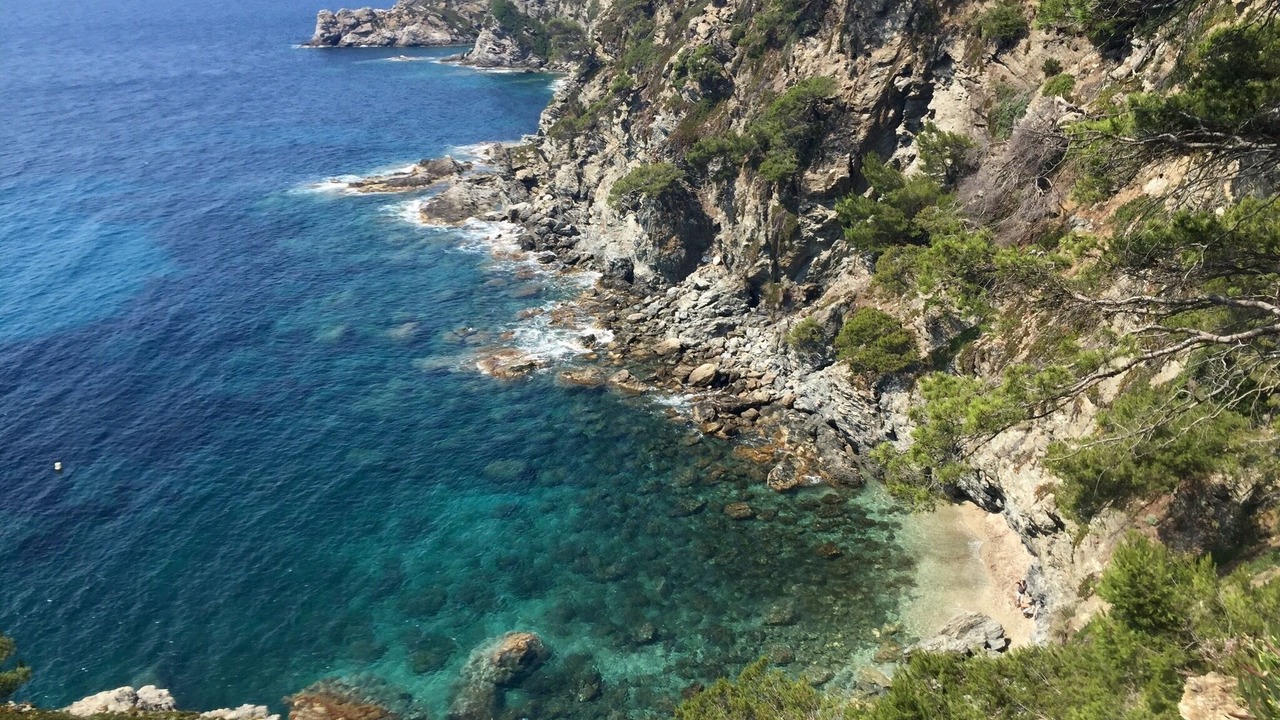 Photo of Others in Porquerolles