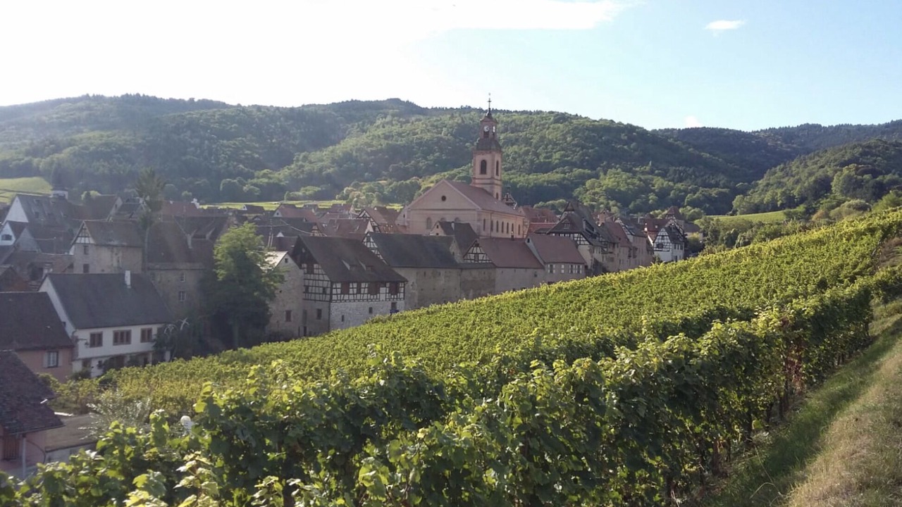 Photo of Outdoor in Riquewihr