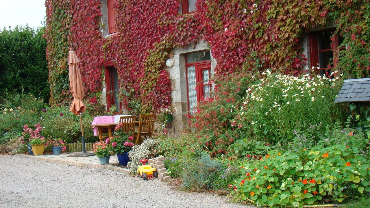Photo of Outdoor in Saint-Donan