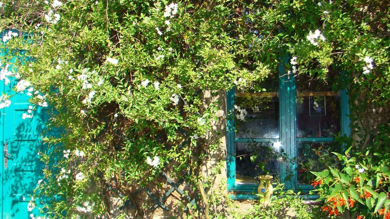 Photo of Outdoor in Saint-Donan
