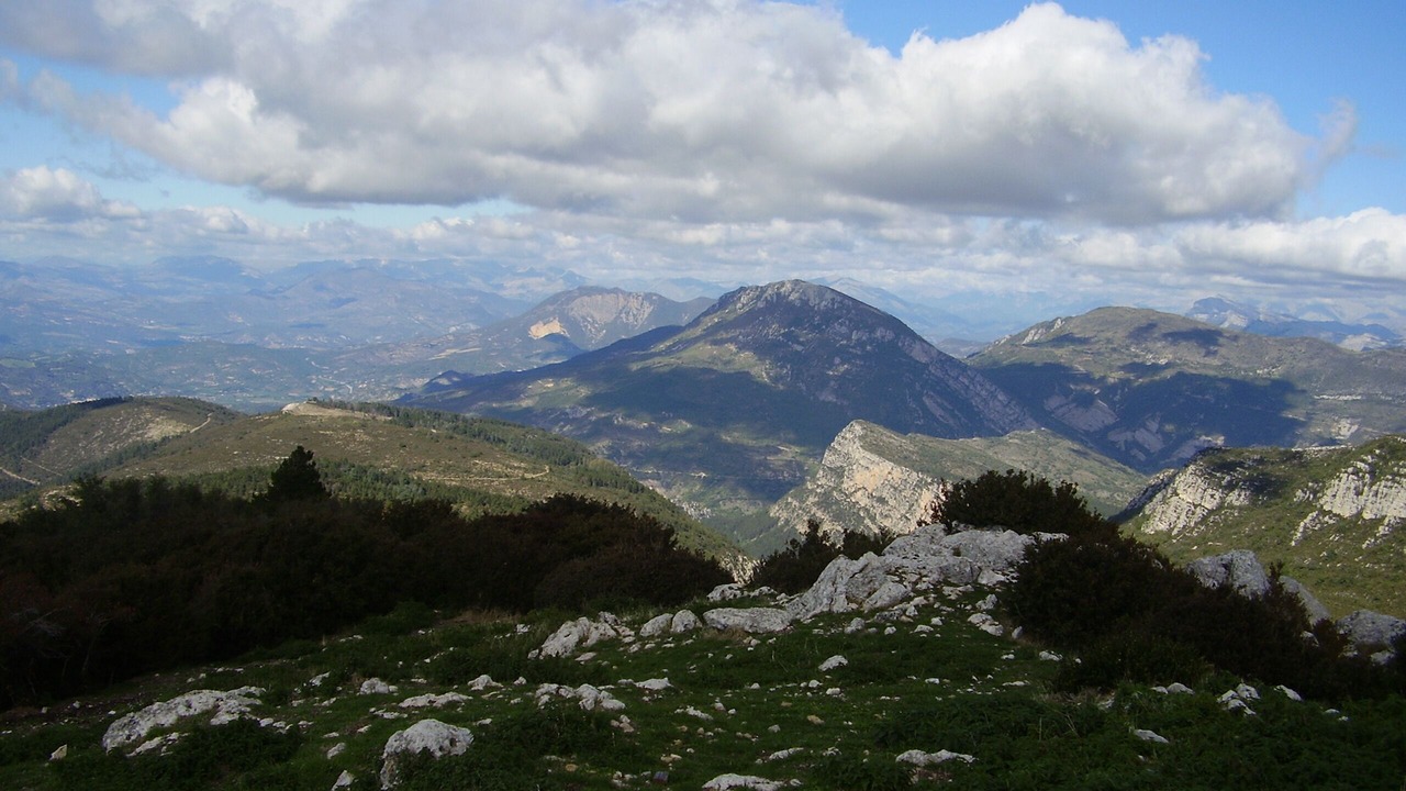 Photo of Others in Estoublon