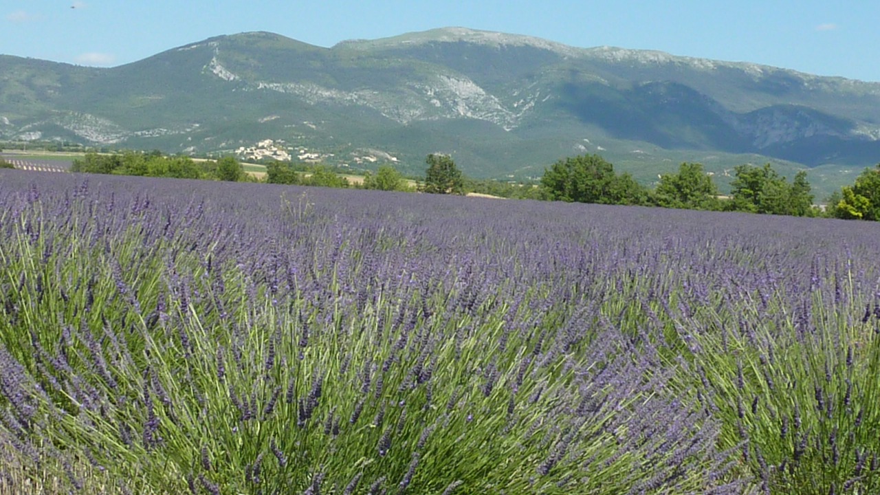 Photo of Outdoor in Estoublon