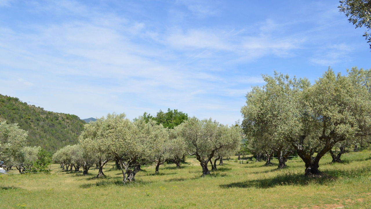 Photo of Outdoor in Estoublon