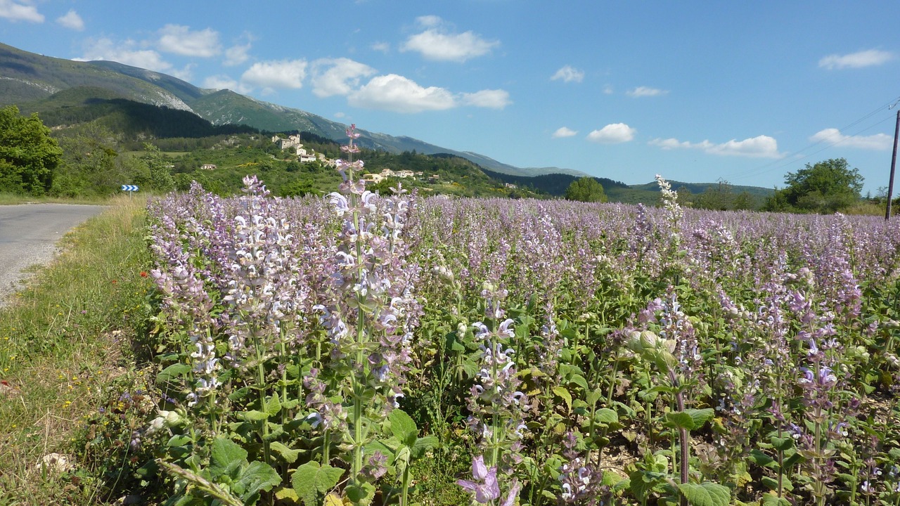 Photo of Outdoor in Estoublon