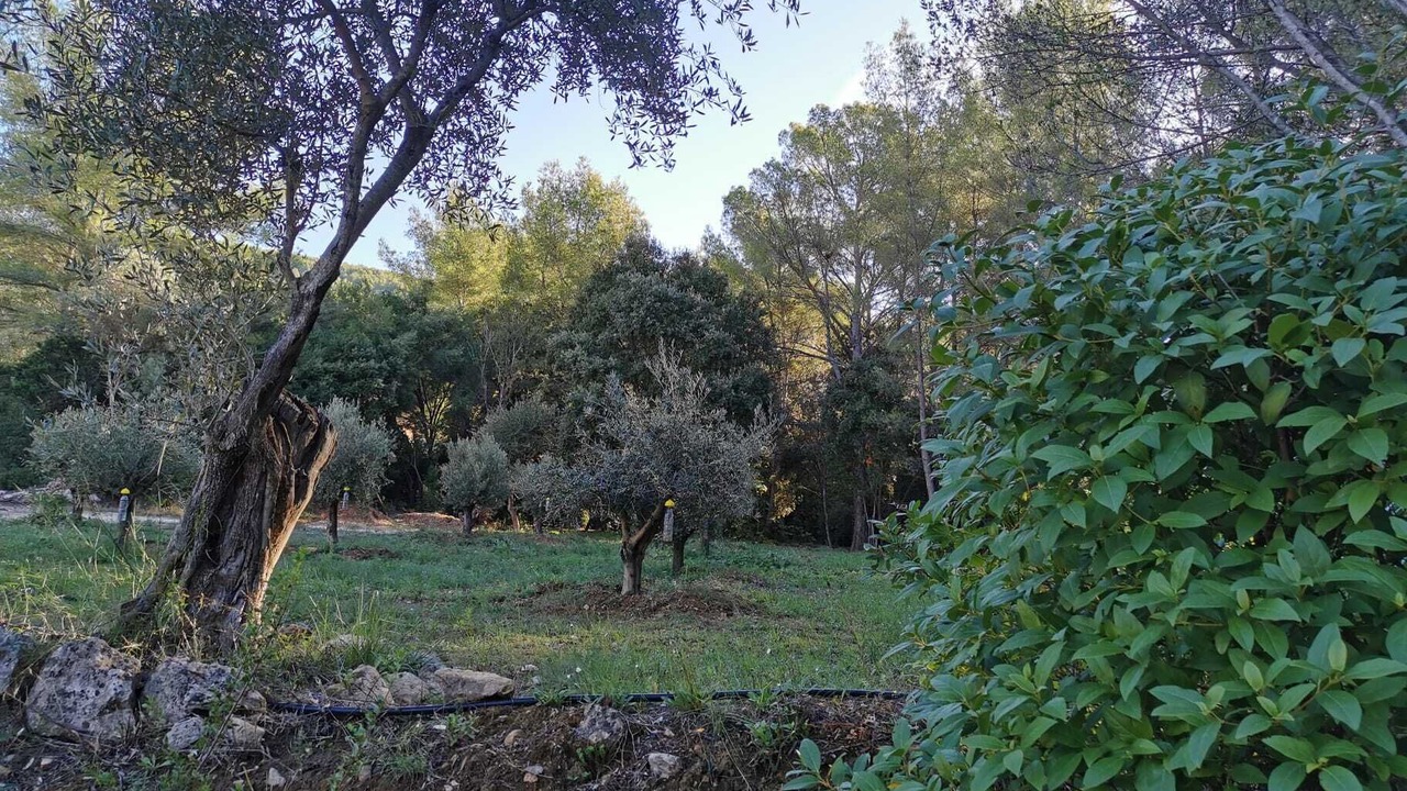 Photo of Outdoor in Bandol