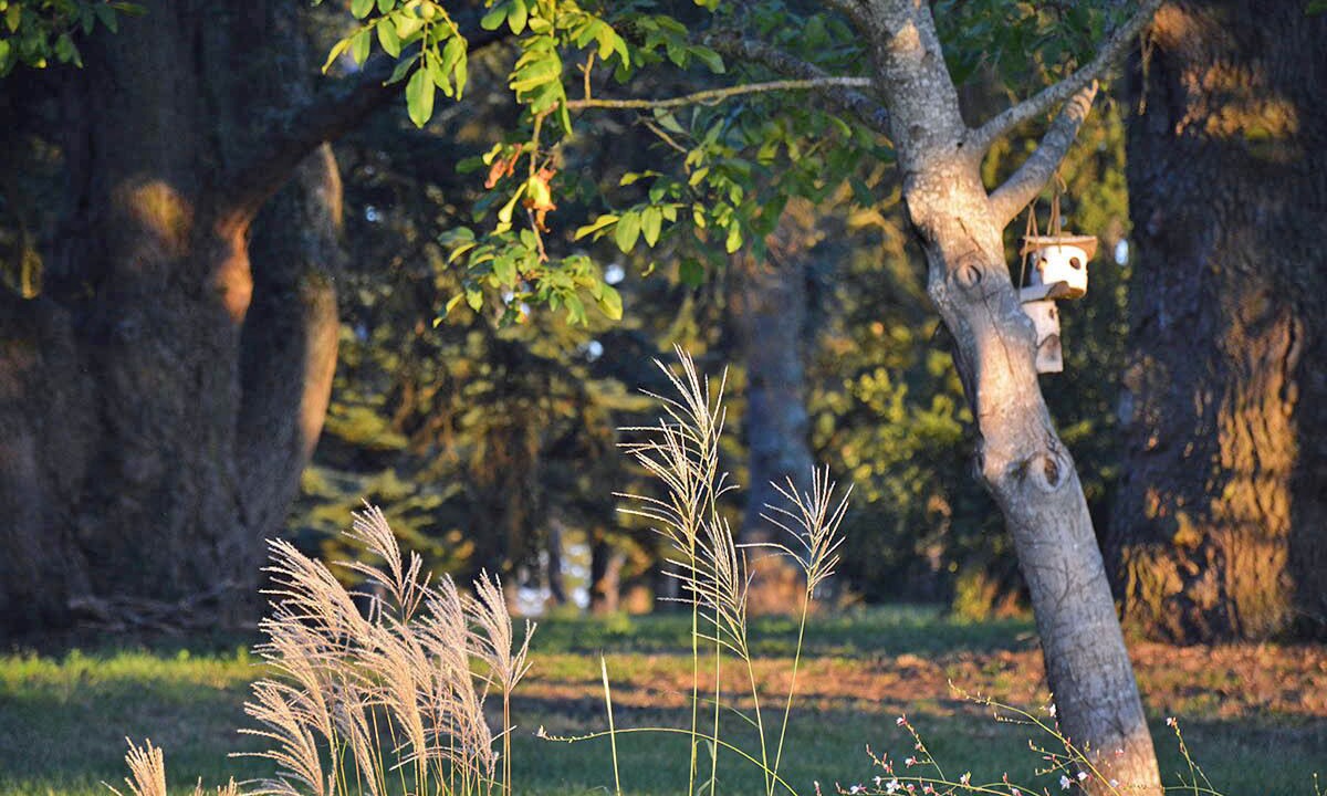 Photo of Outdoor in Saint-Genies-Bellevue