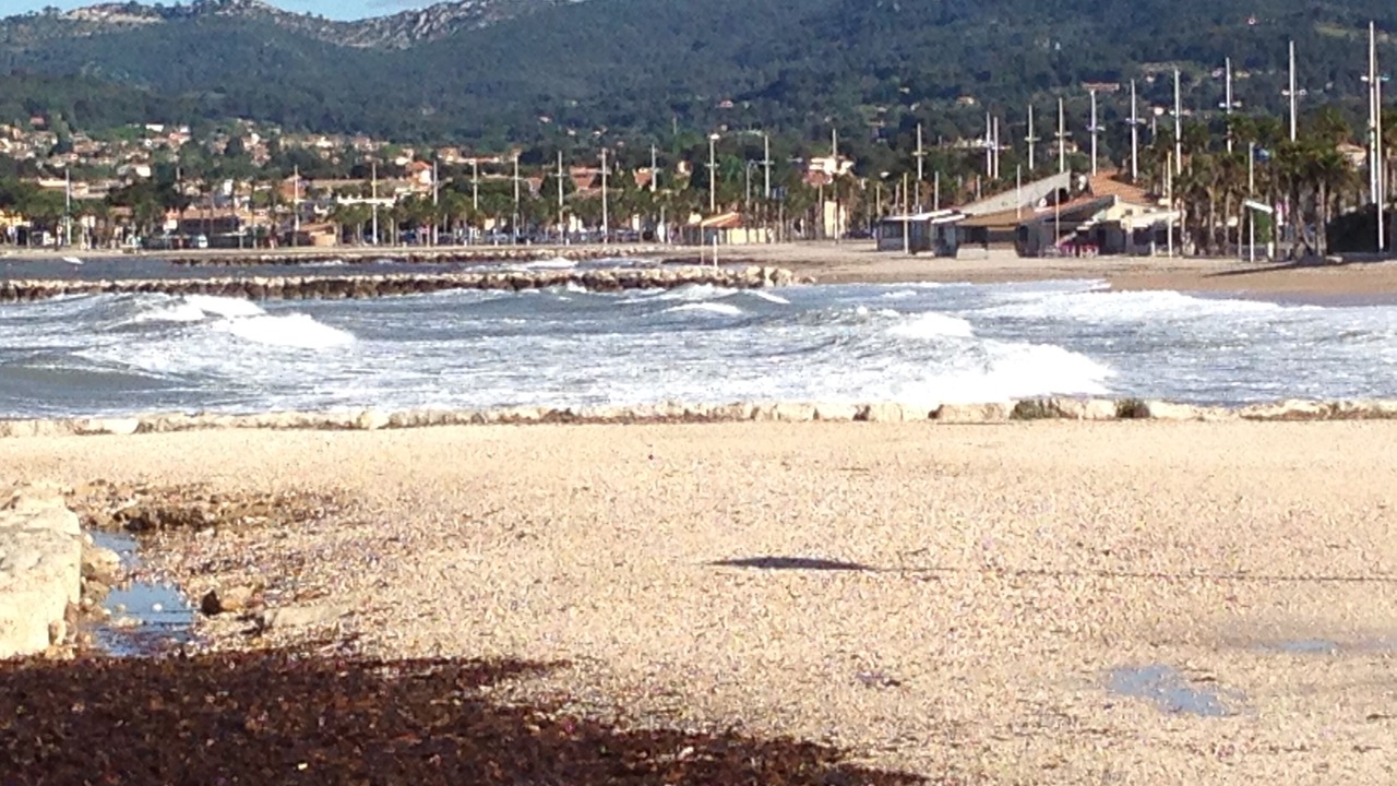 Photo of Others in Sanary-sur-Mer