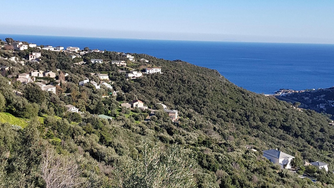 Photo of Others in Figarella