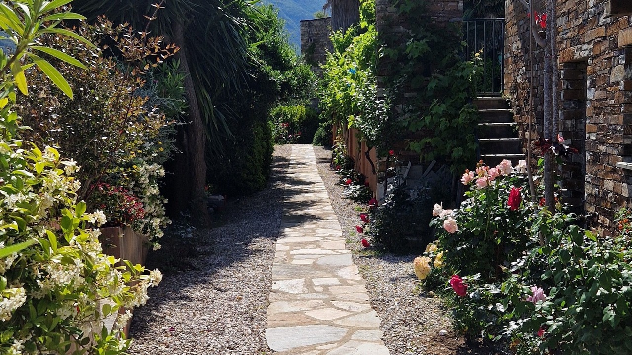 Photo of Outdoor in Figarella