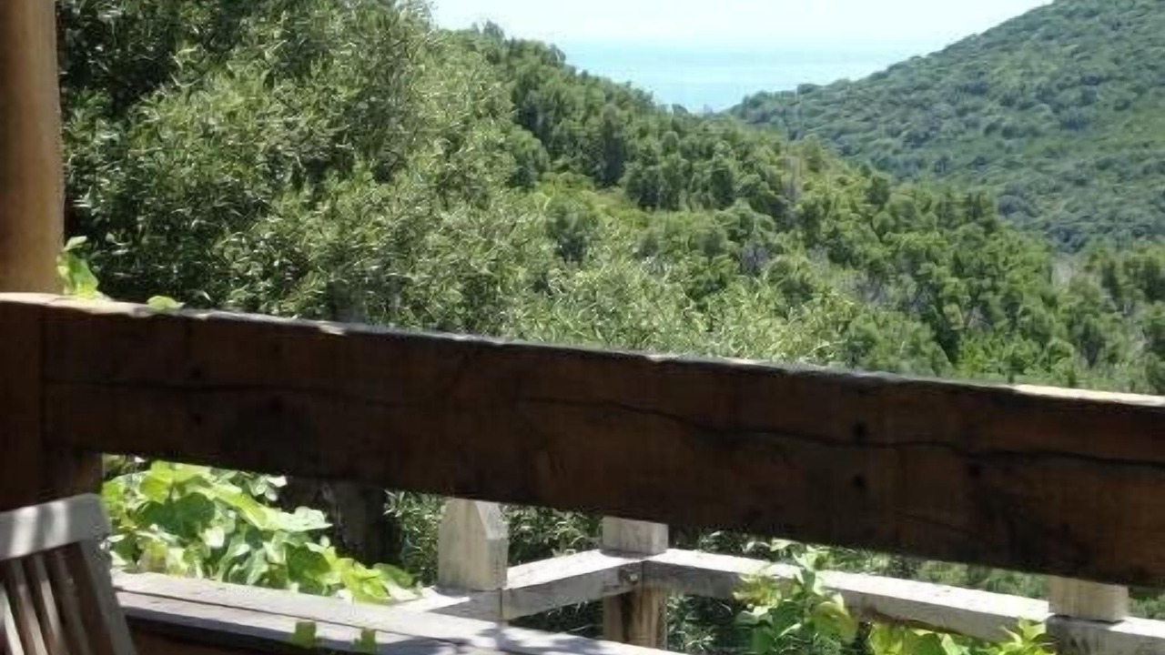 Photo of Outdoor in Figarella