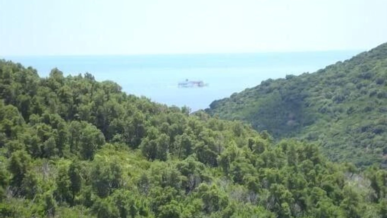 Photo of Others in Figarella