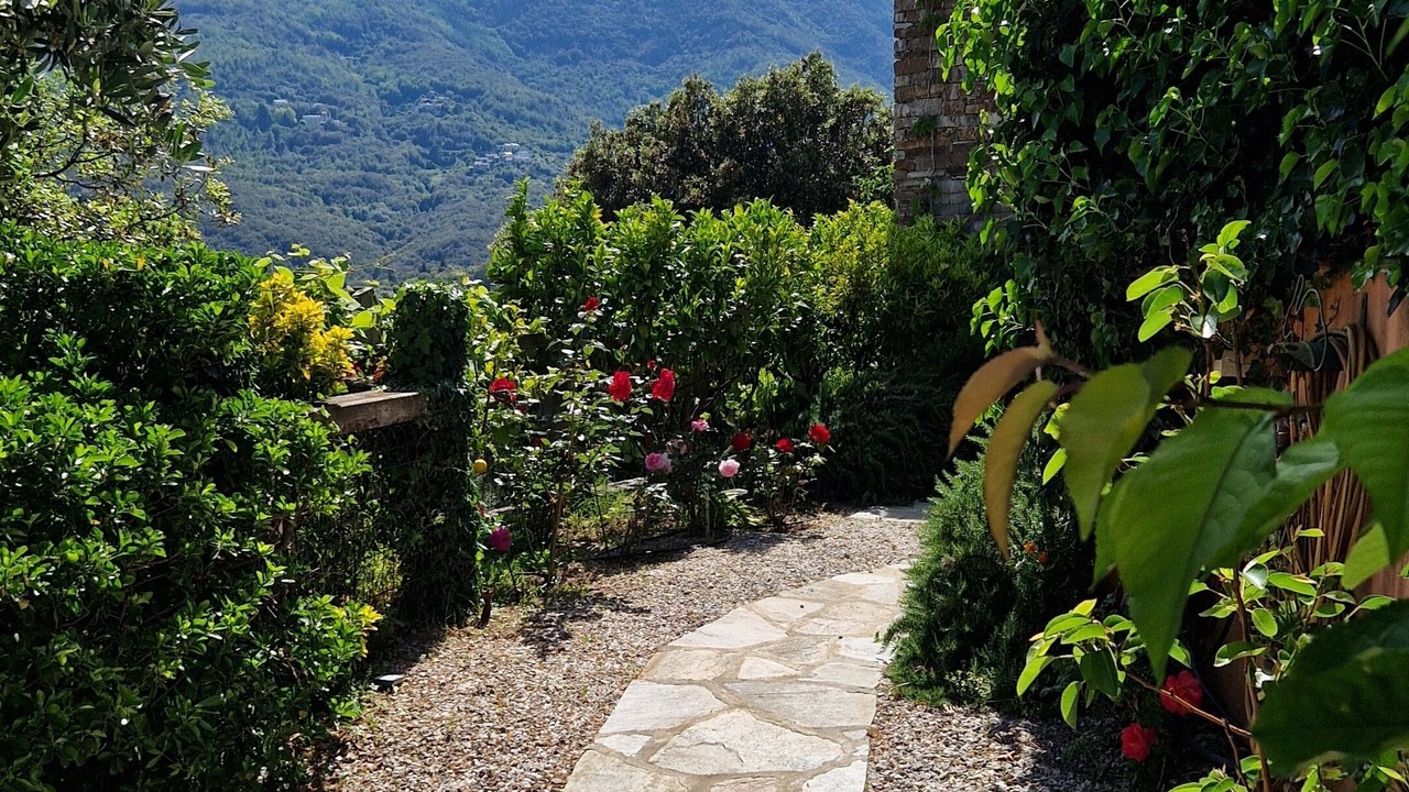 Photo of Outdoor in Figarella