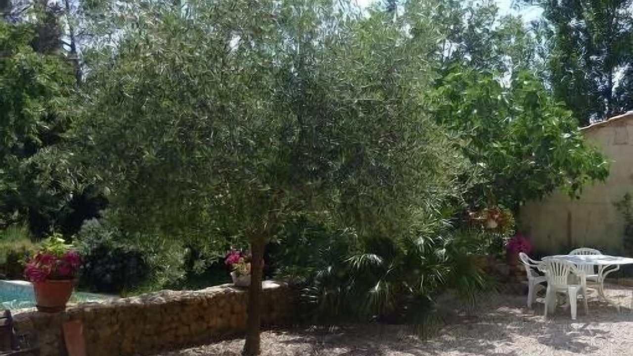 Photo of Outdoor in Brignoles