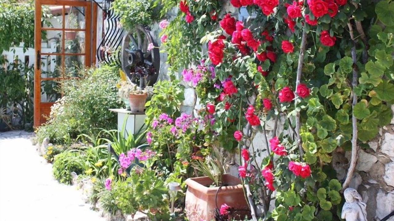 Photo of Outdoor in Eze