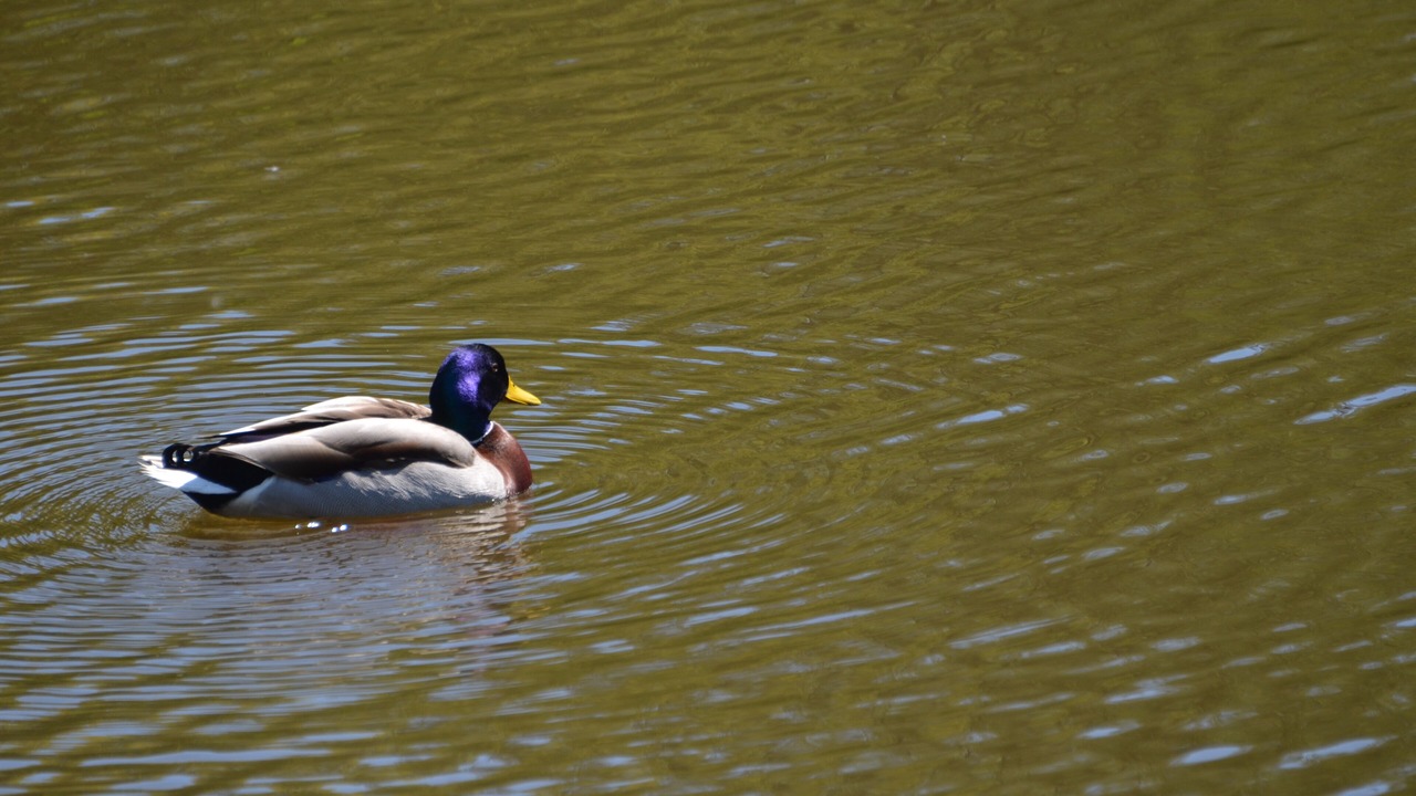 Photo of Others in Epinal