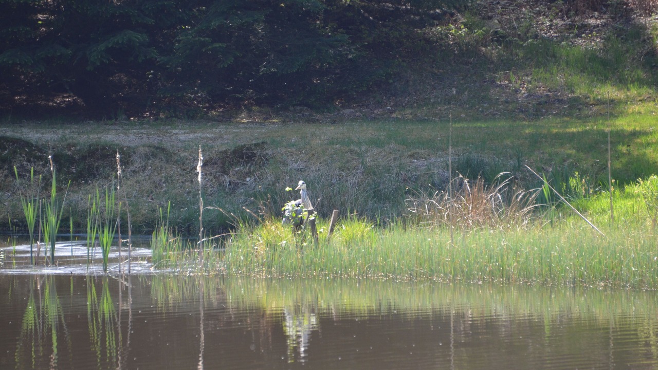 Photo of Outdoor in Epinal