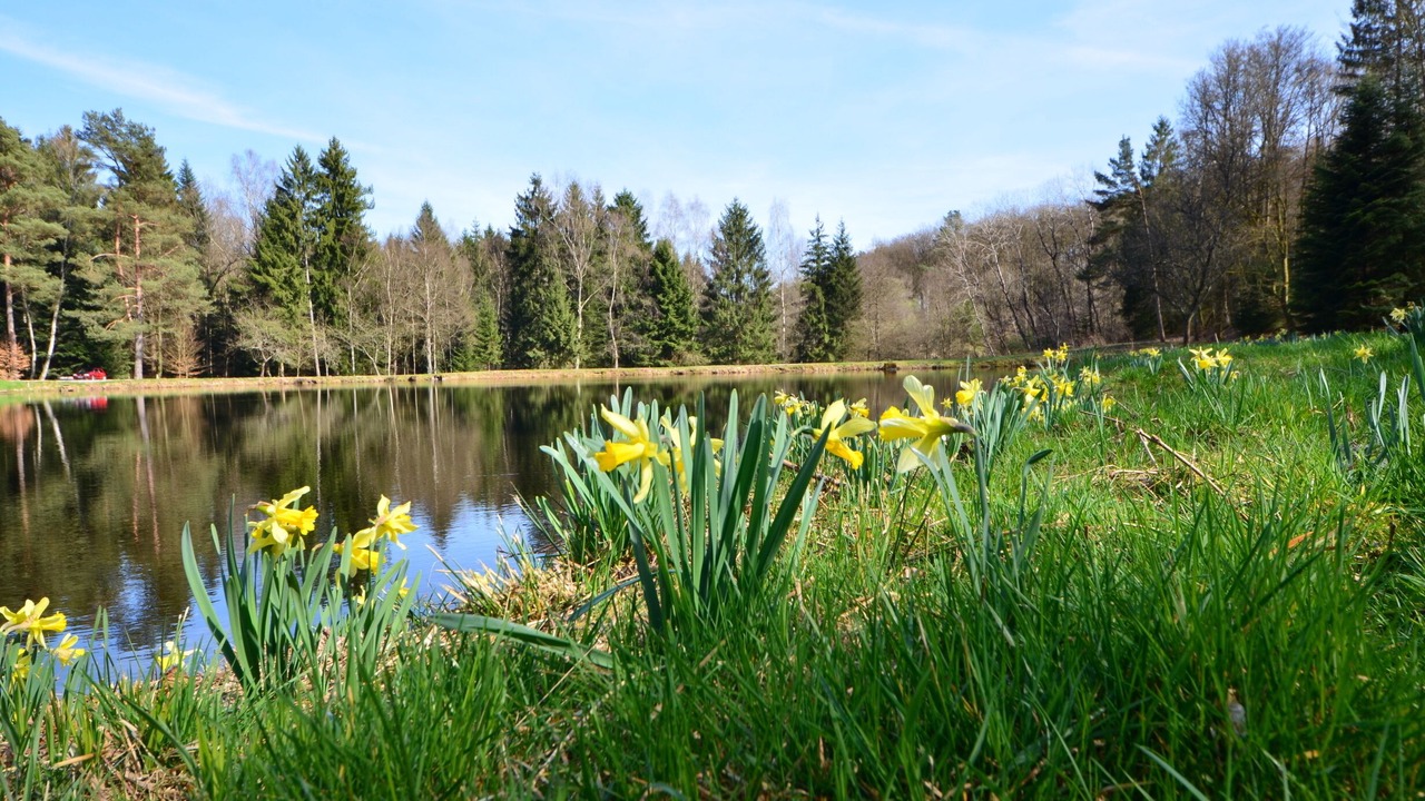 Photo of Outdoor in Epinal