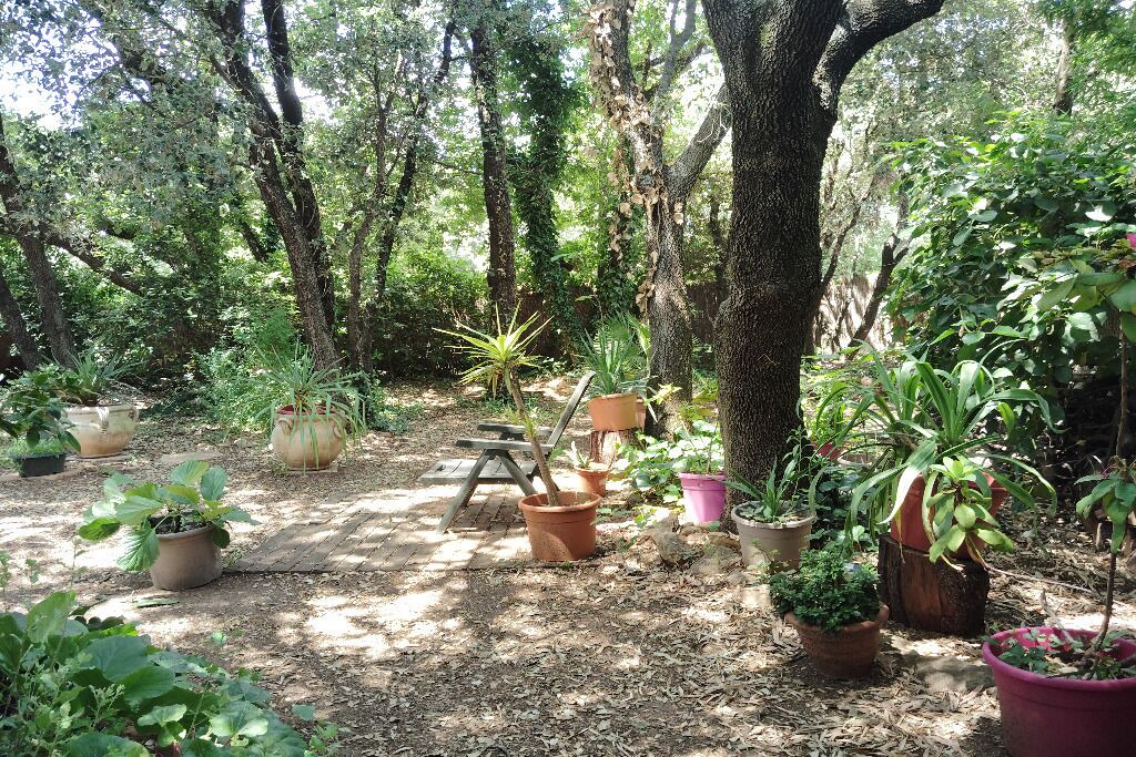 Photo of Outdoor in Rochefort-du-Gard