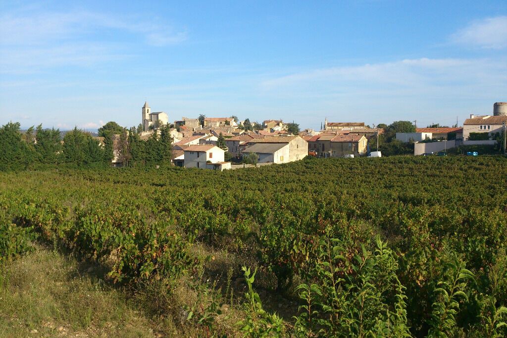 Photo of Others in Rochefort-du-Gard