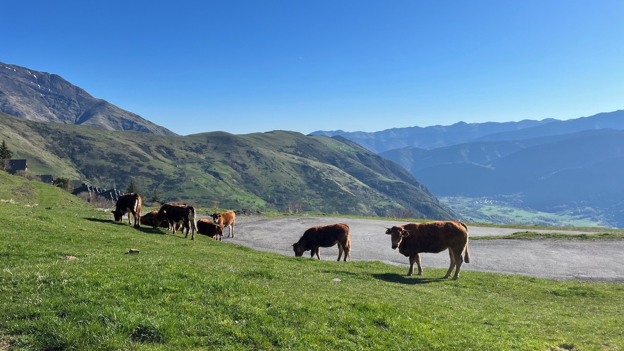 Photo of Others in Pla d'Adet