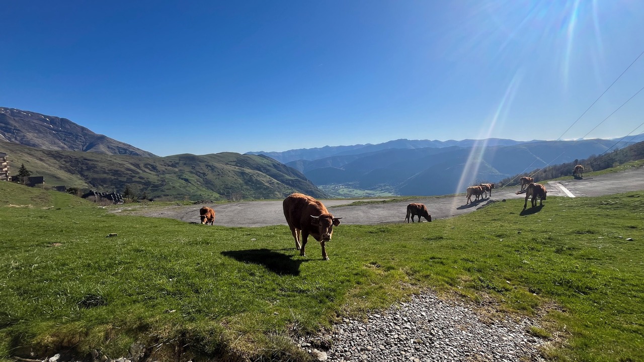 Photo of Others in Pla d'Adet