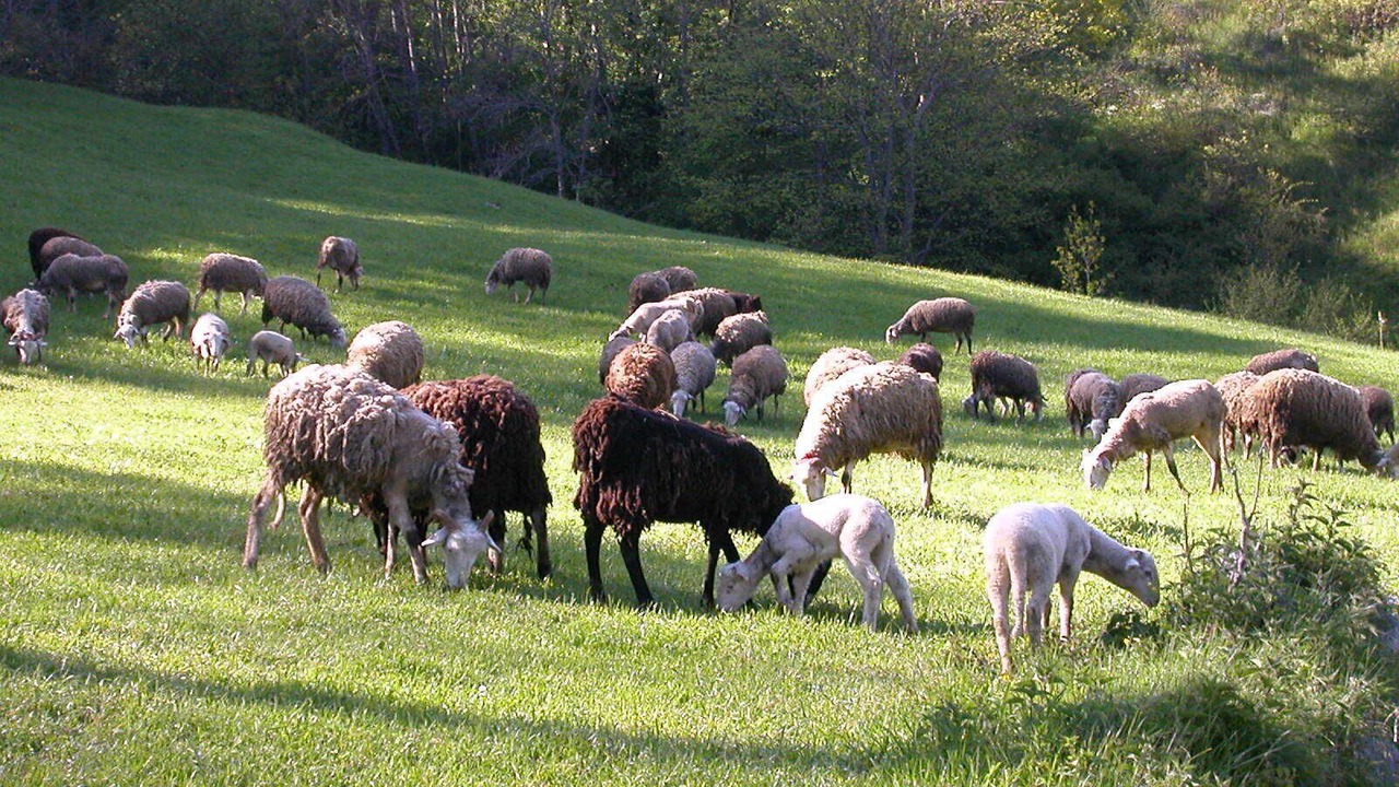 Photo of Outdoor in Sazos