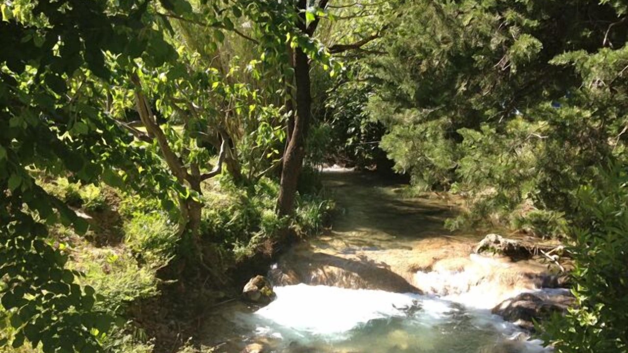 Photo of Outdoor in Cuers