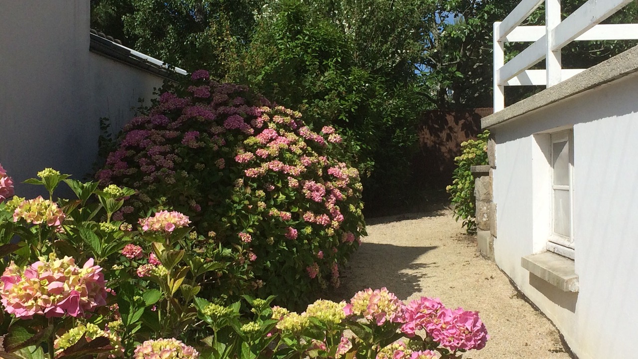 Photo of Outdoor in Lancieux