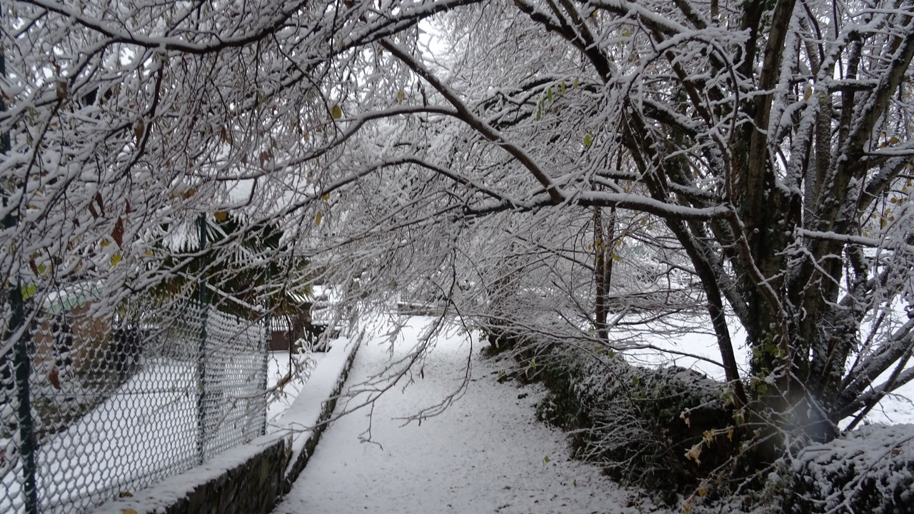 Photo of Outdoor in Salechan
