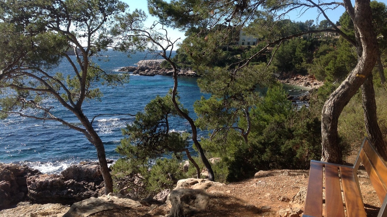 Photo of Others in Bandol