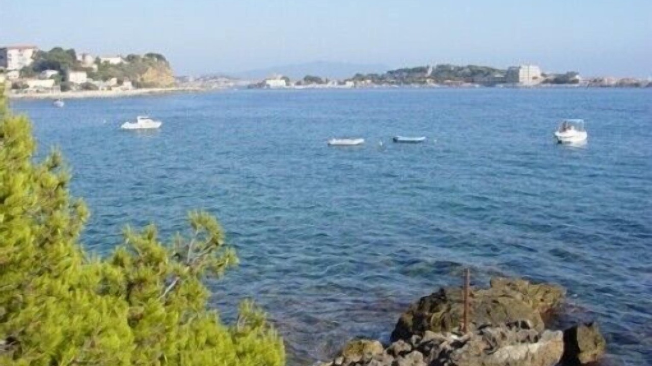 Photo of Others in Bandol