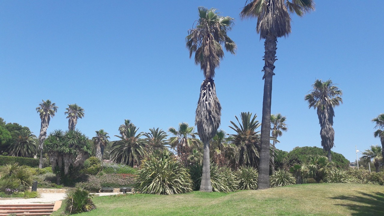 Photo of Outdoor in Six-Fours-les-Plages