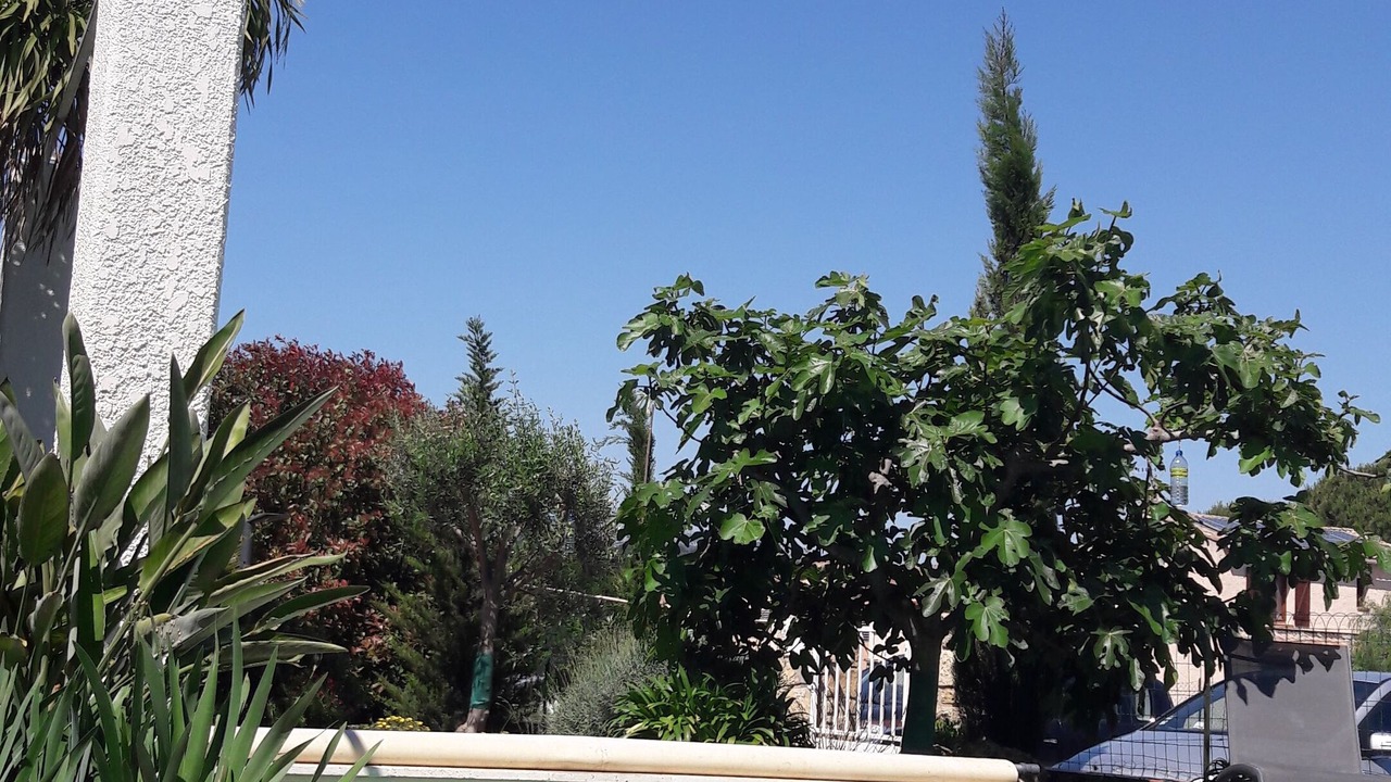 Photo of Outdoor in Six-Fours-les-Plages
