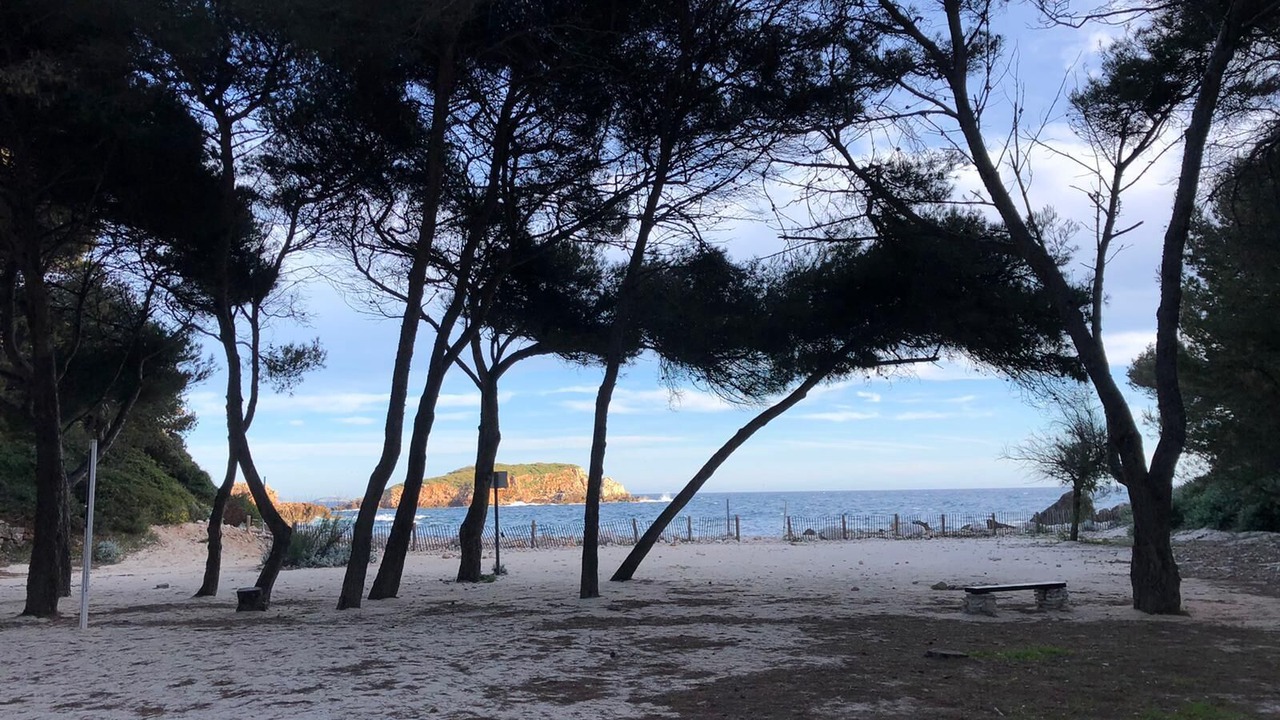 Photo of Others in Bandol