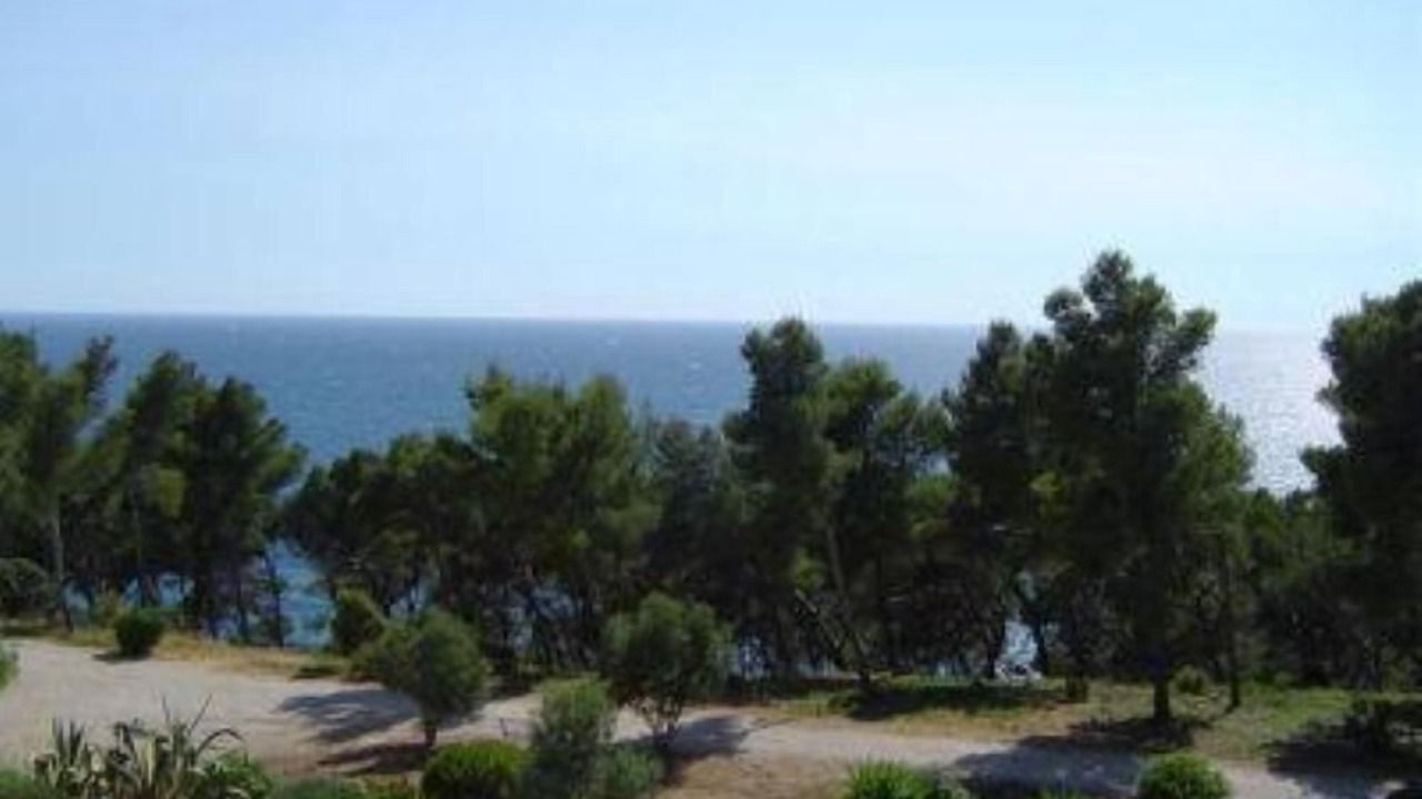 Photo of Others in Bandol