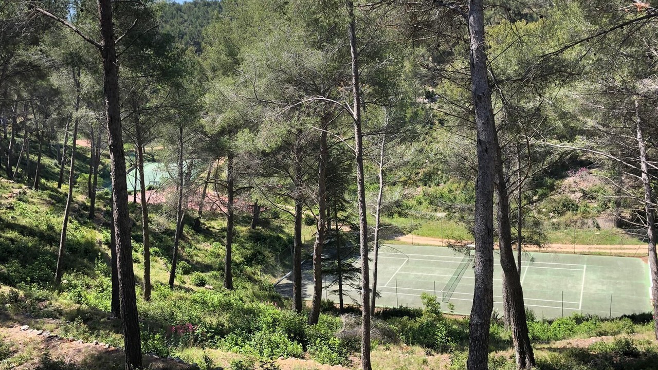 Photo of Others in Bandol