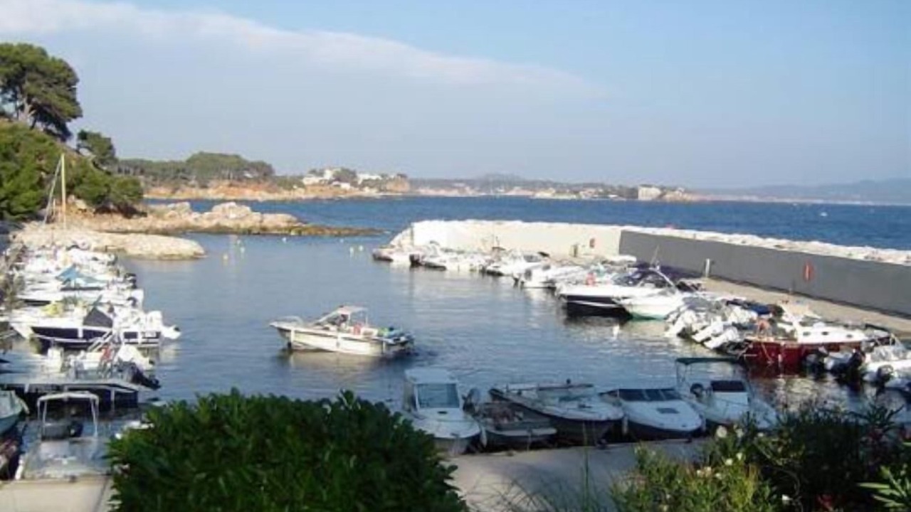 Photo of Others in Bandol