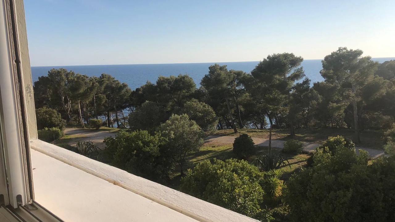 Photo of Others in Bandol