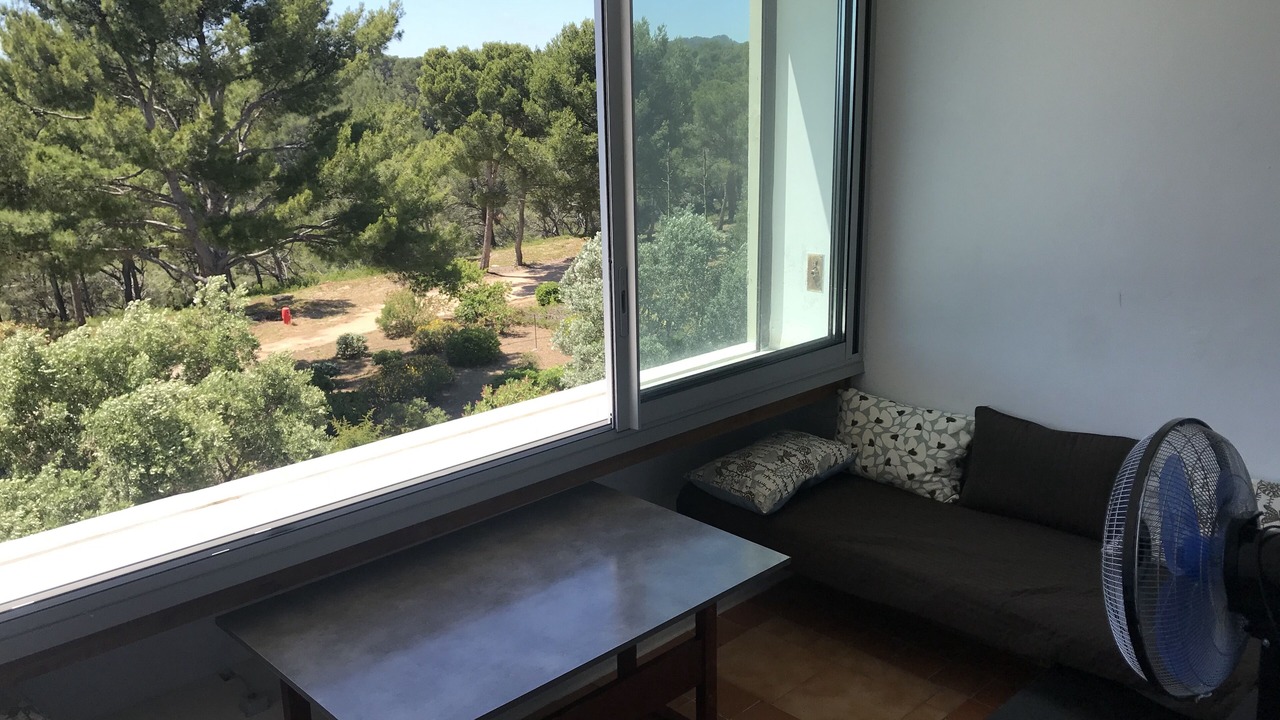 Photo of Others in Bandol