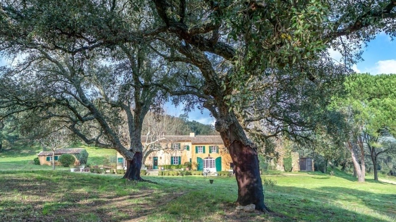 Photo of Outdoor in La Mole