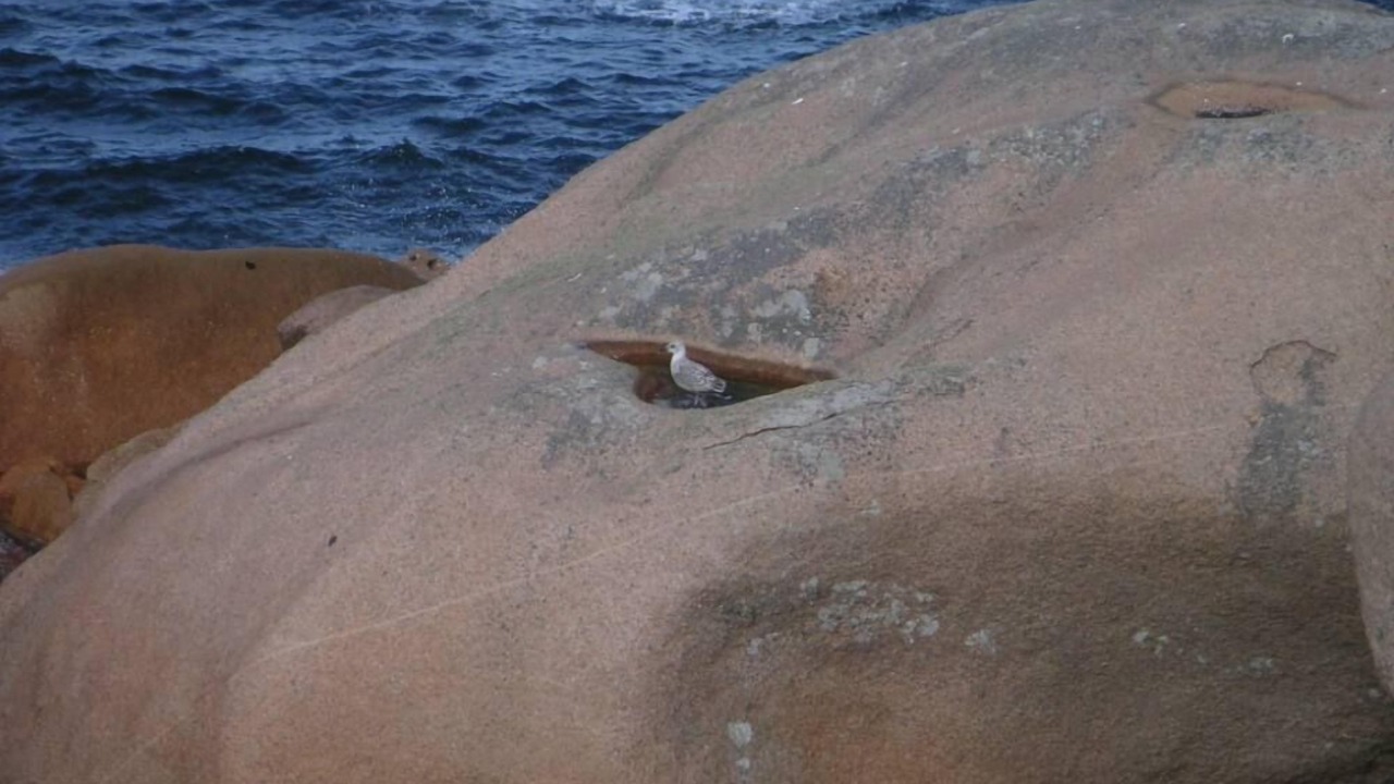Photo of Others in Trelevern
